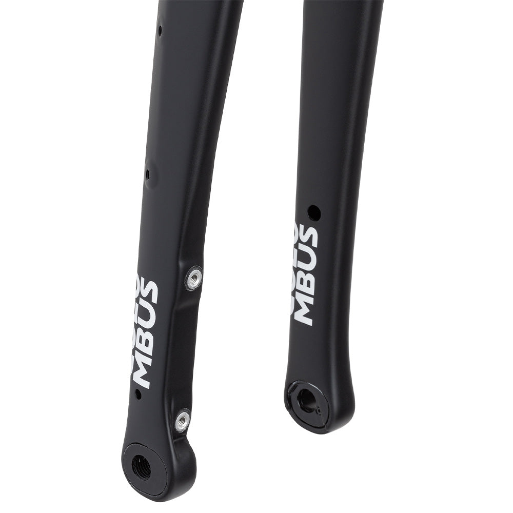 Columbus Futura Cross+ disc fork - painted