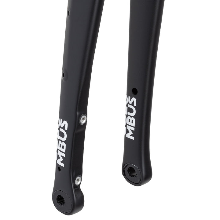 Columbus Futura Cross+ disc fork - painted