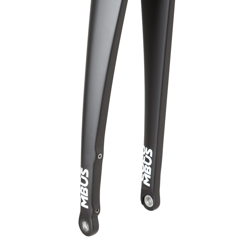 Columbus Futura Road disc fork - painted