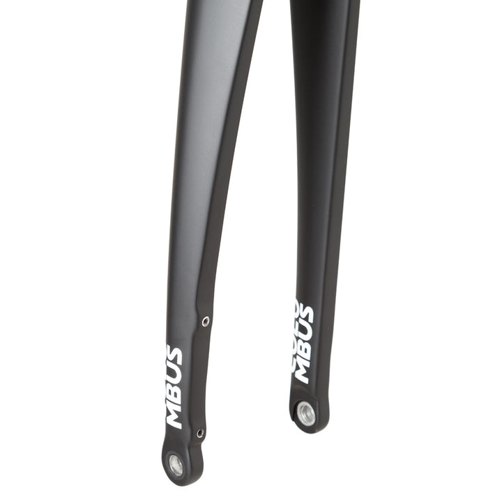 Columbus Futura Road disc fork - painted