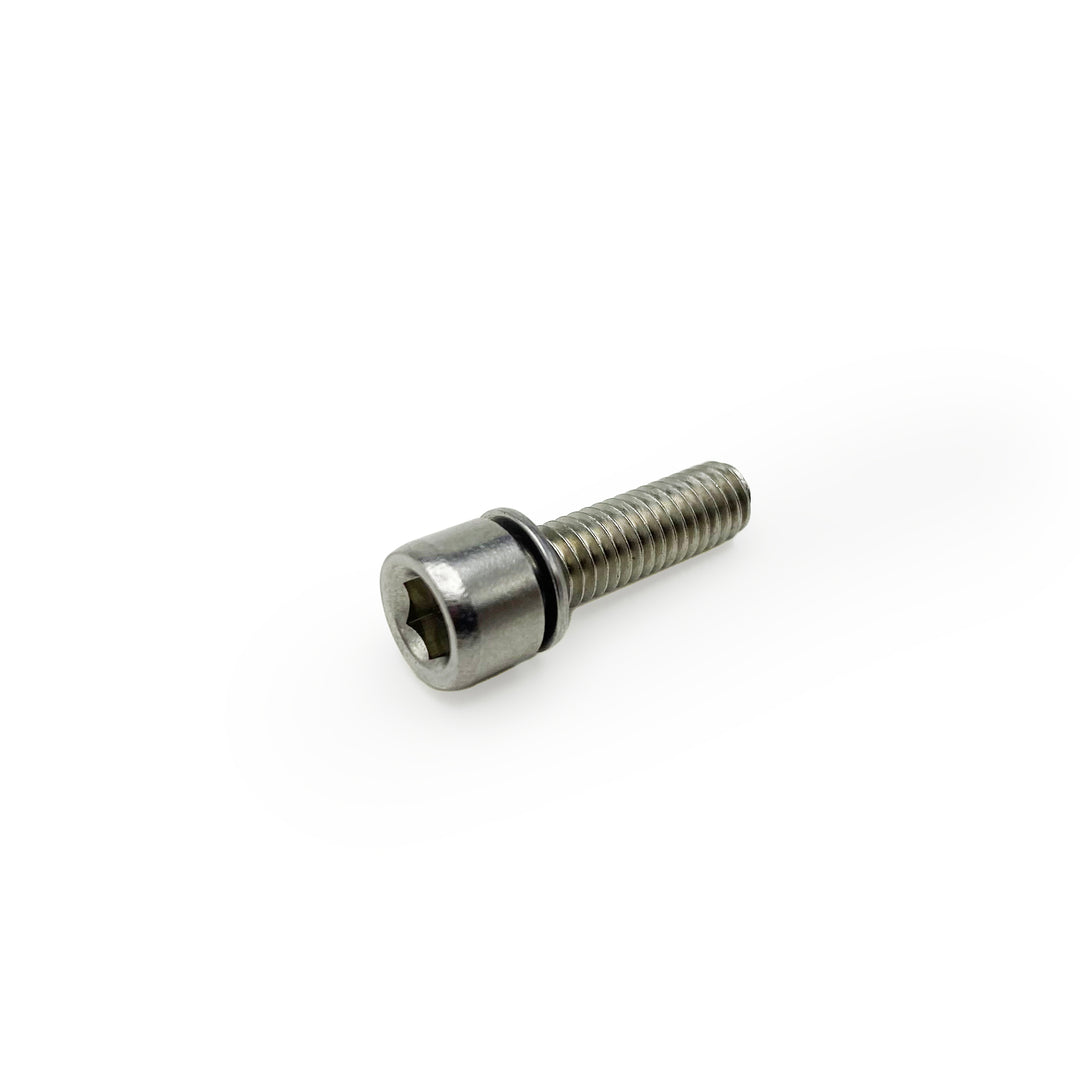 Stainless steel M6 bolt - 19mm length