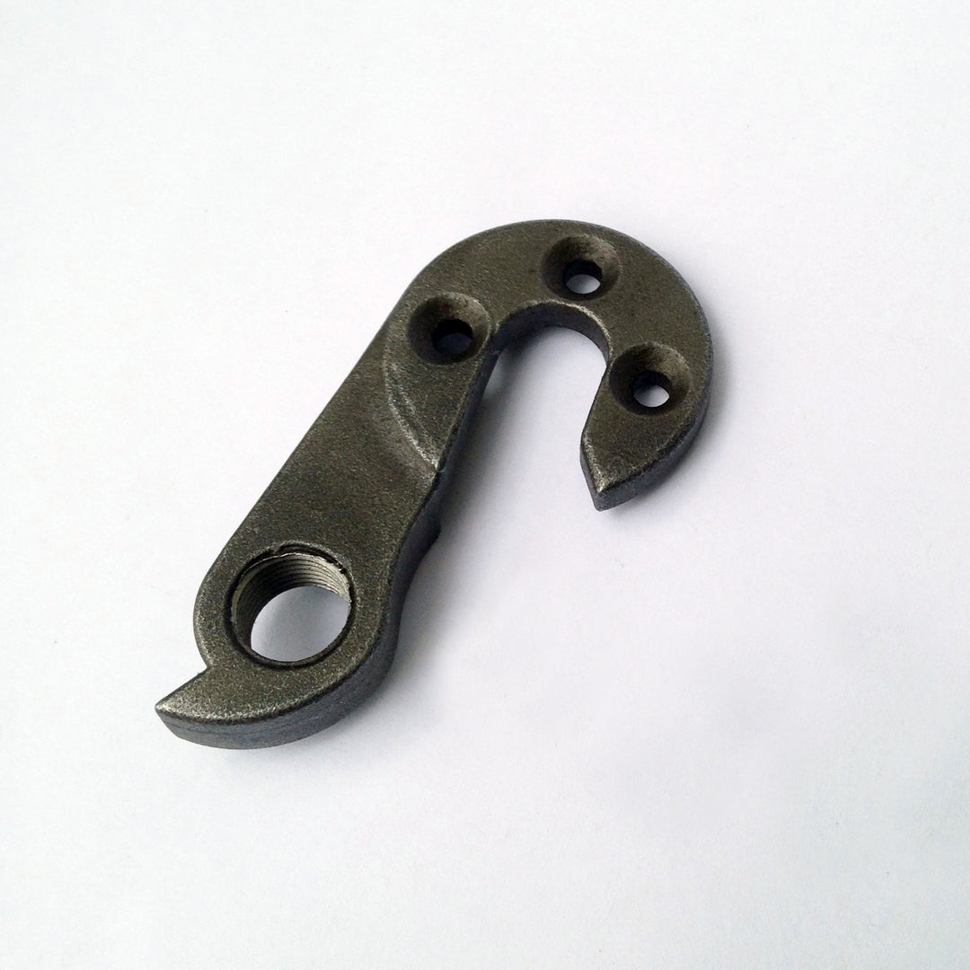 replaceable hanger