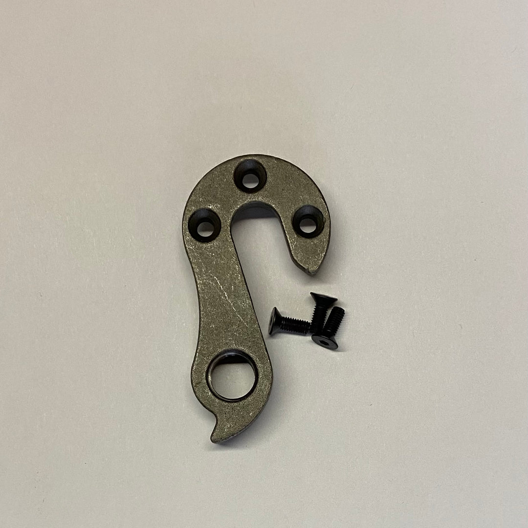 Rear dropouts for post-mount disc brakes - with eyelets