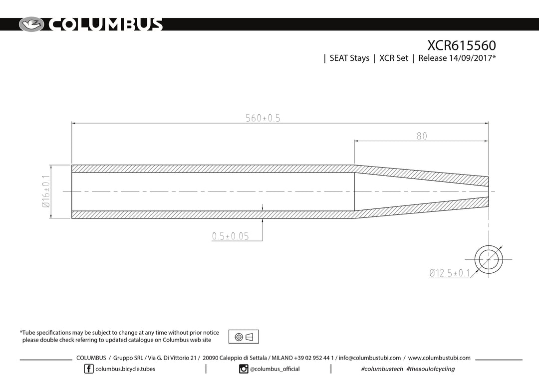 Columbus XCR stainless seat stays - 16 OD - .5 wall - length = 560