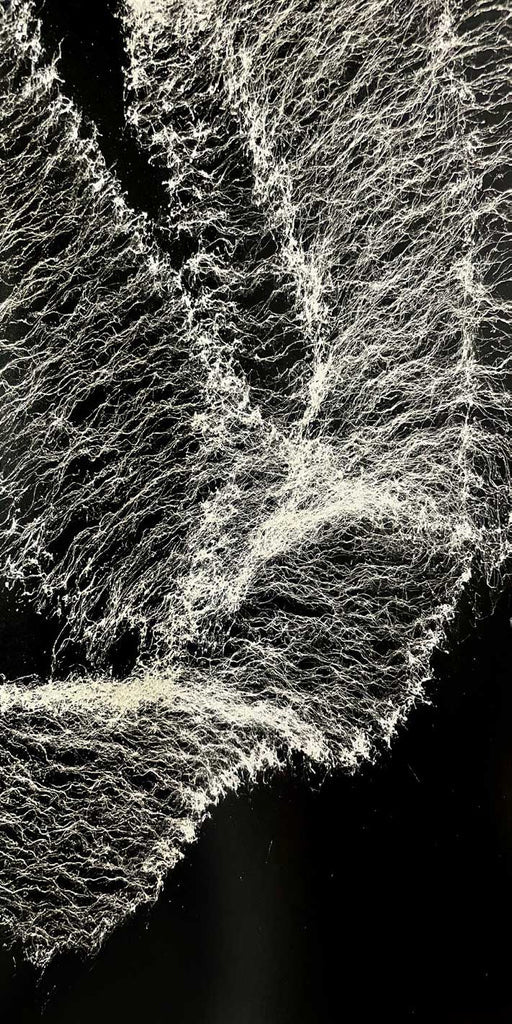 Spray.Bike Cobweb Splatter