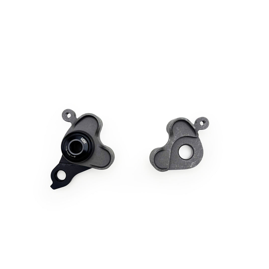 Long Shen rear thru-axle dropout with Universal Derailleur Hanger